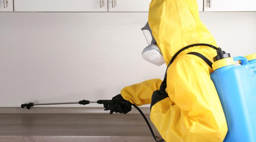 Professional Pest Control Austin TX services in Austin - Pest Control Austin TX