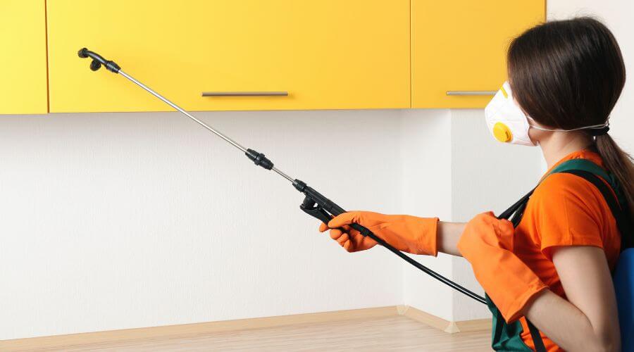 Why choose Pest Control Austin TX for Pest Control Austin TX in Austin